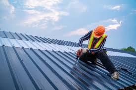 Best Steel Roofing  in Roxborough Park, CO